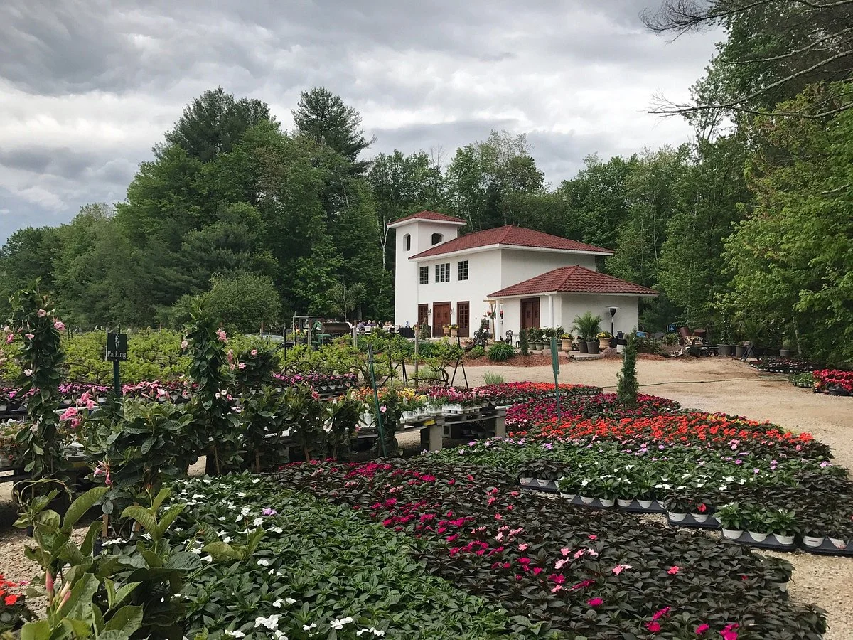 Fulchino Vineyard