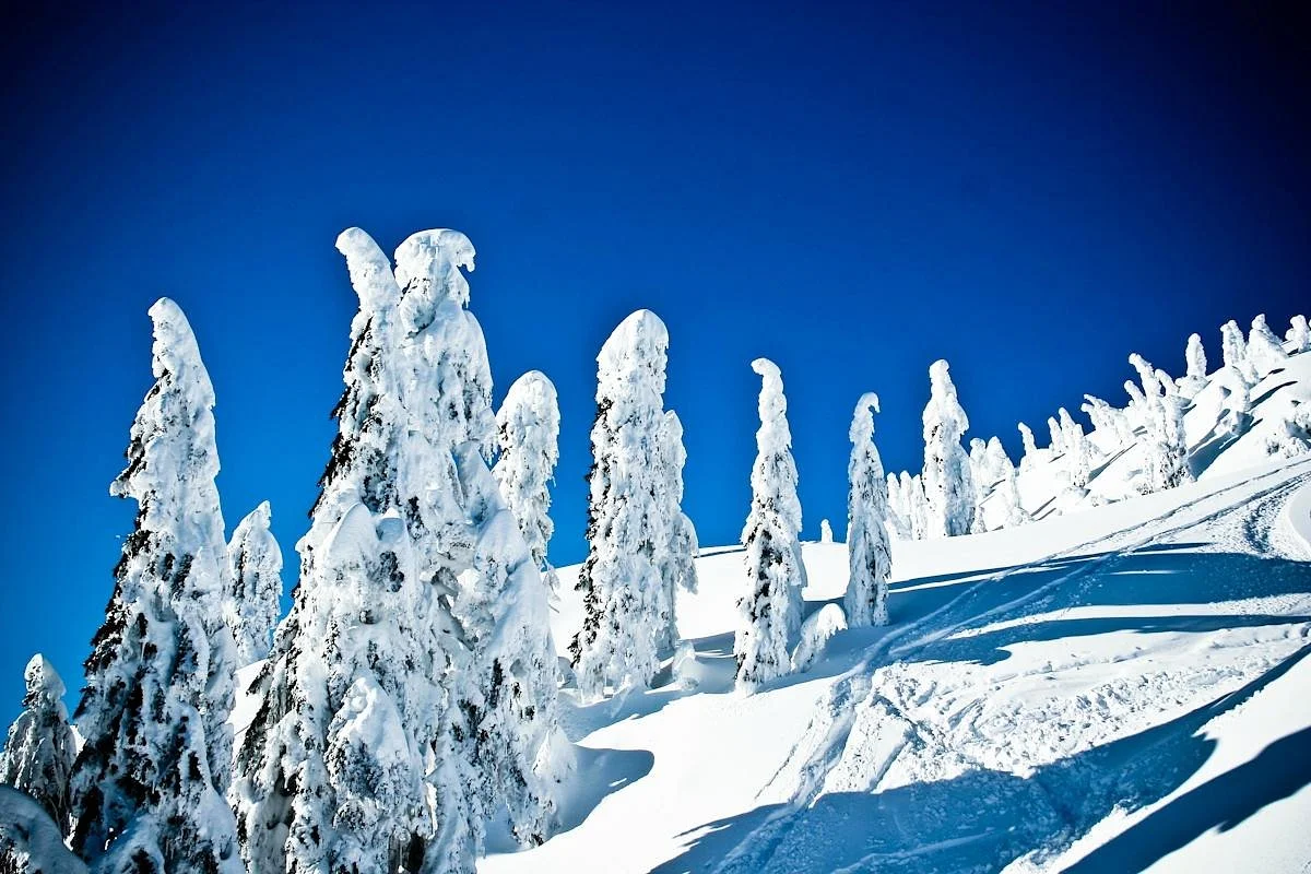 Mt Seymour