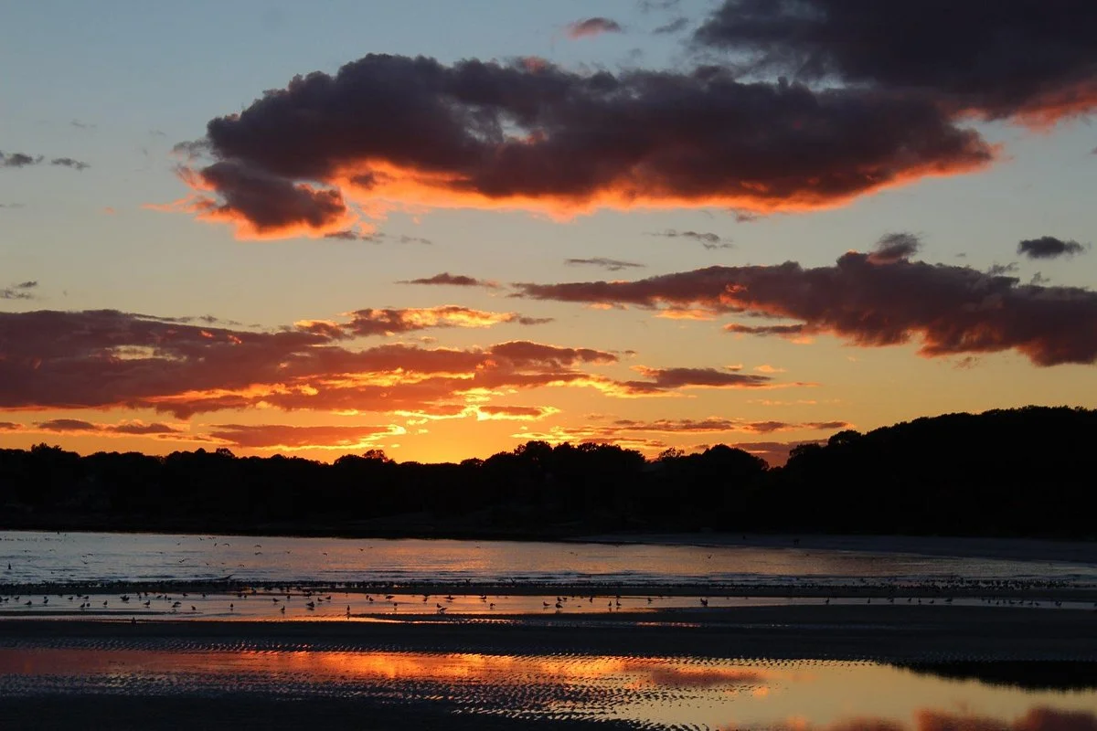 Rocky Neck State Park