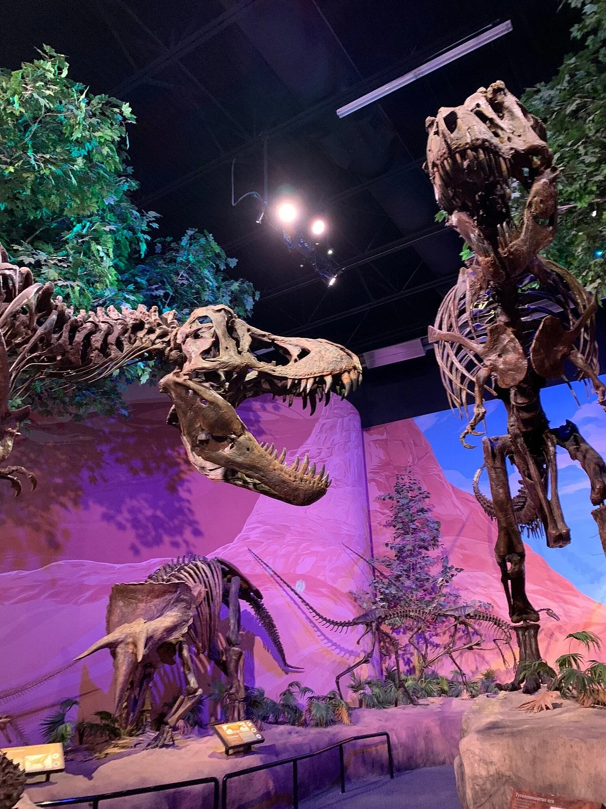 Mountain America Museum of Ancient Life