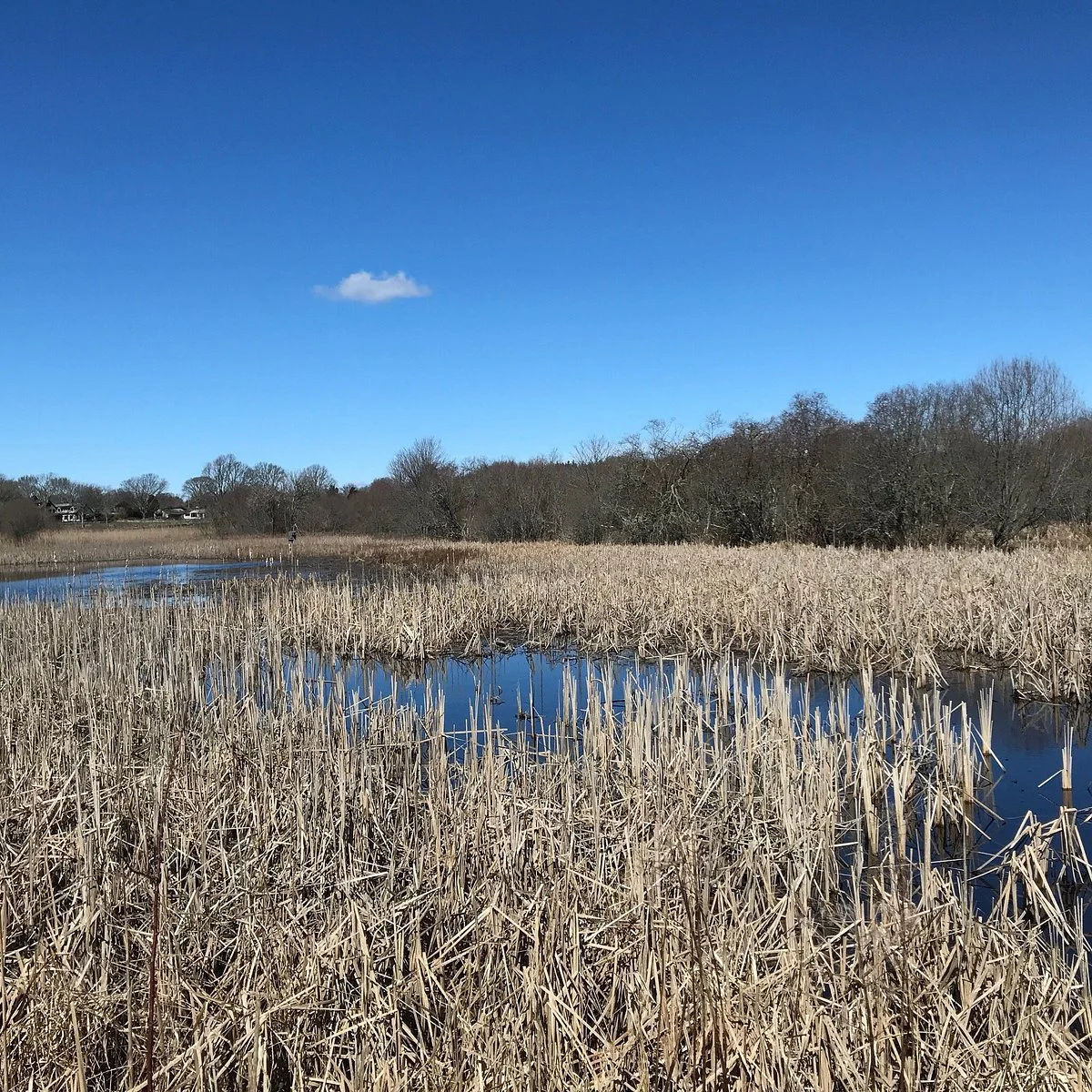 Dundery Brook Trail