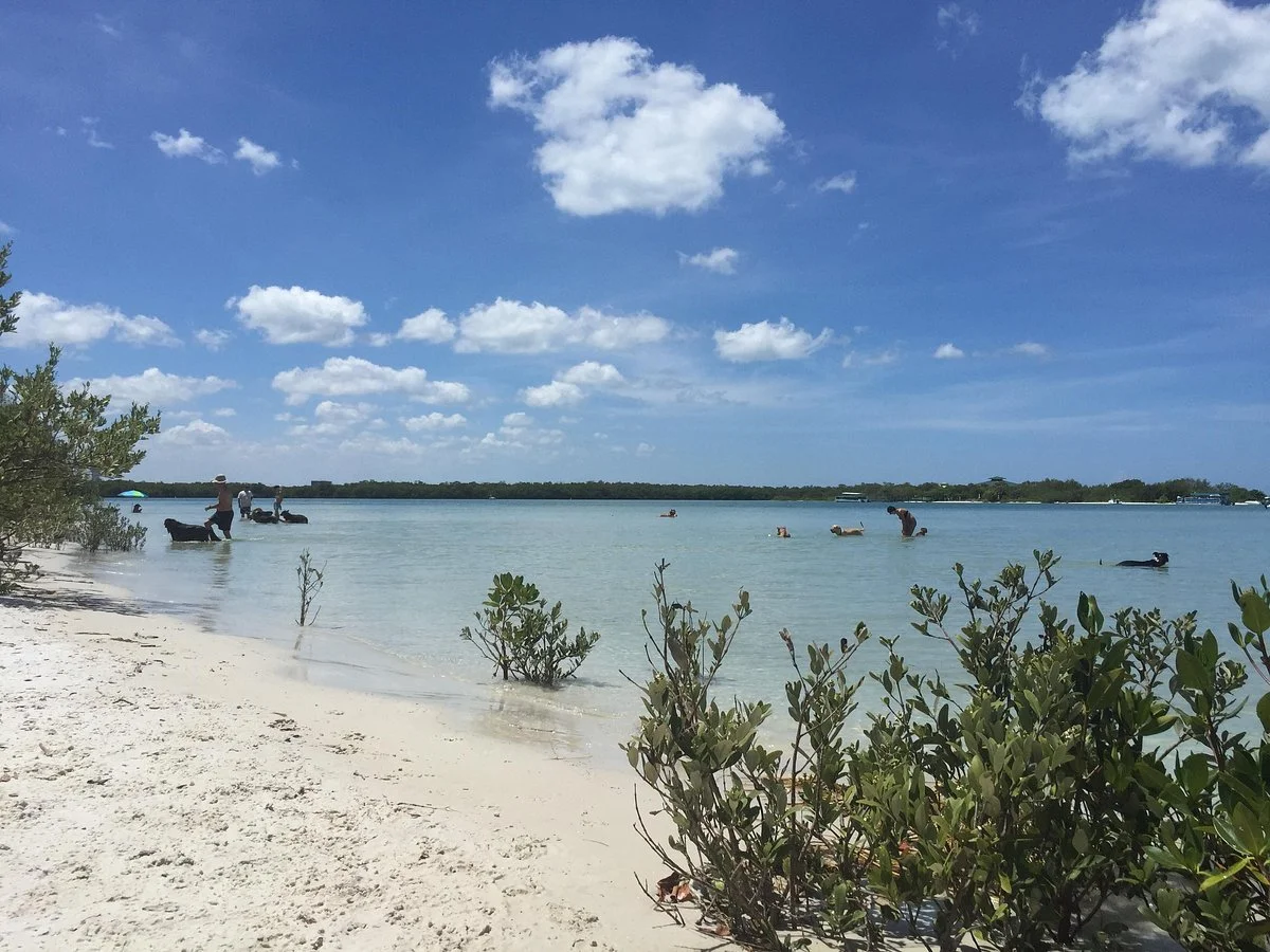 Dog Beach Park