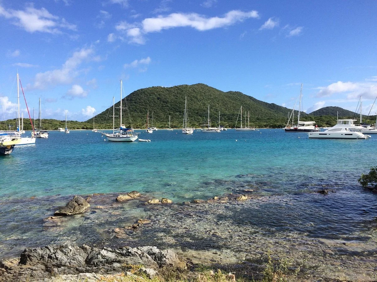 Trellis Bay