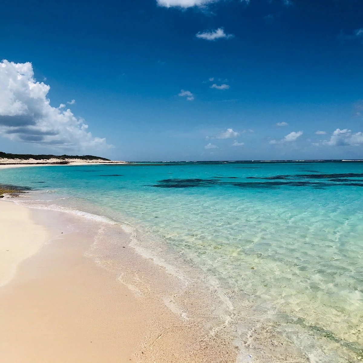 Loblolly Beach