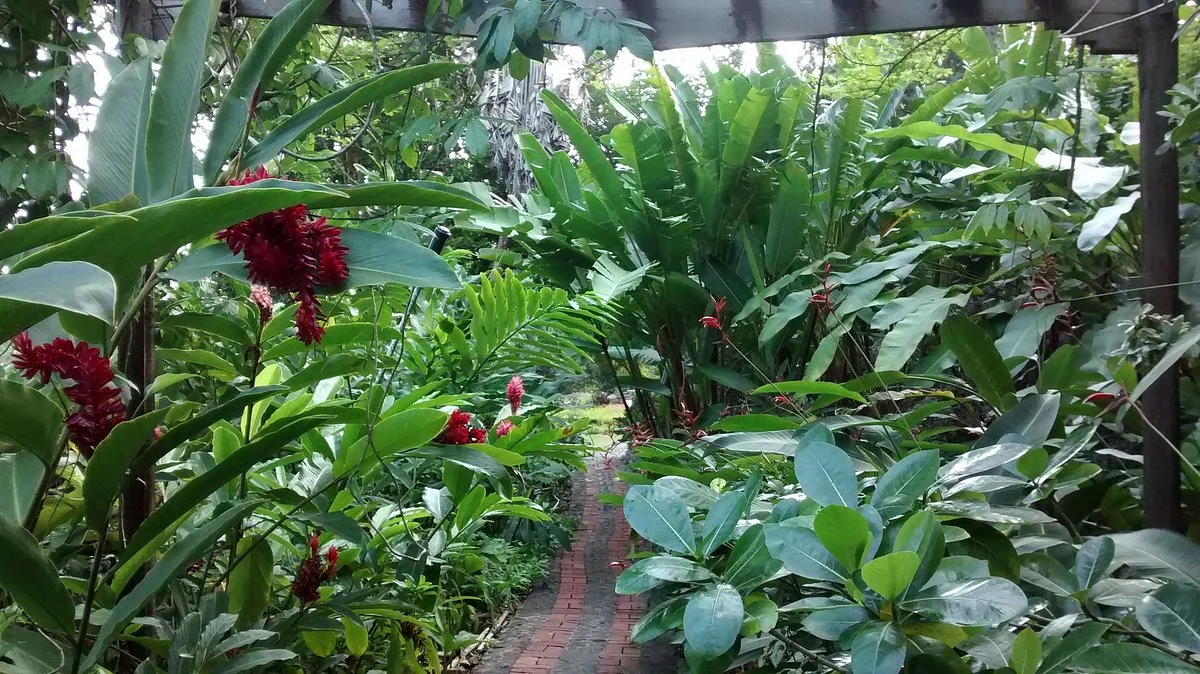 Andromeda Botanic Gardens