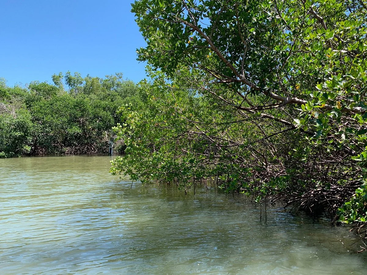 Mound Key Archeological State Park