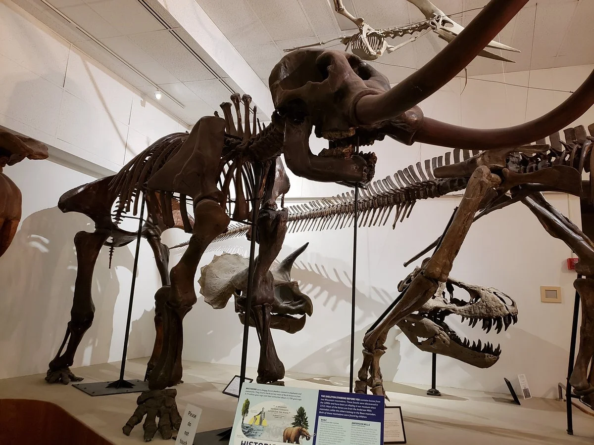 University of Wisconsin Geology Museum