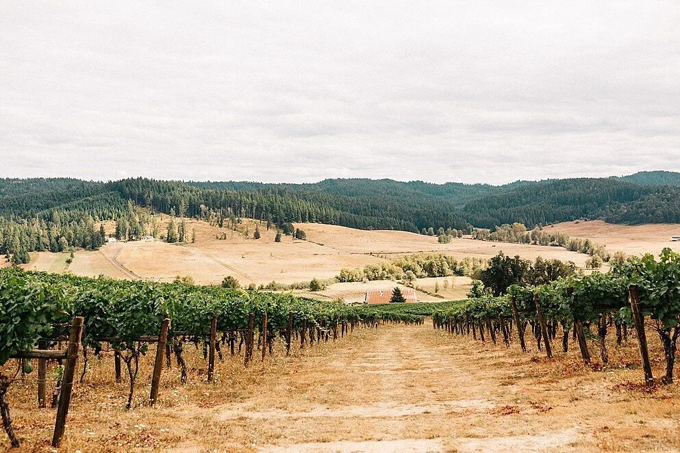 Sweet Cheeks Winery
