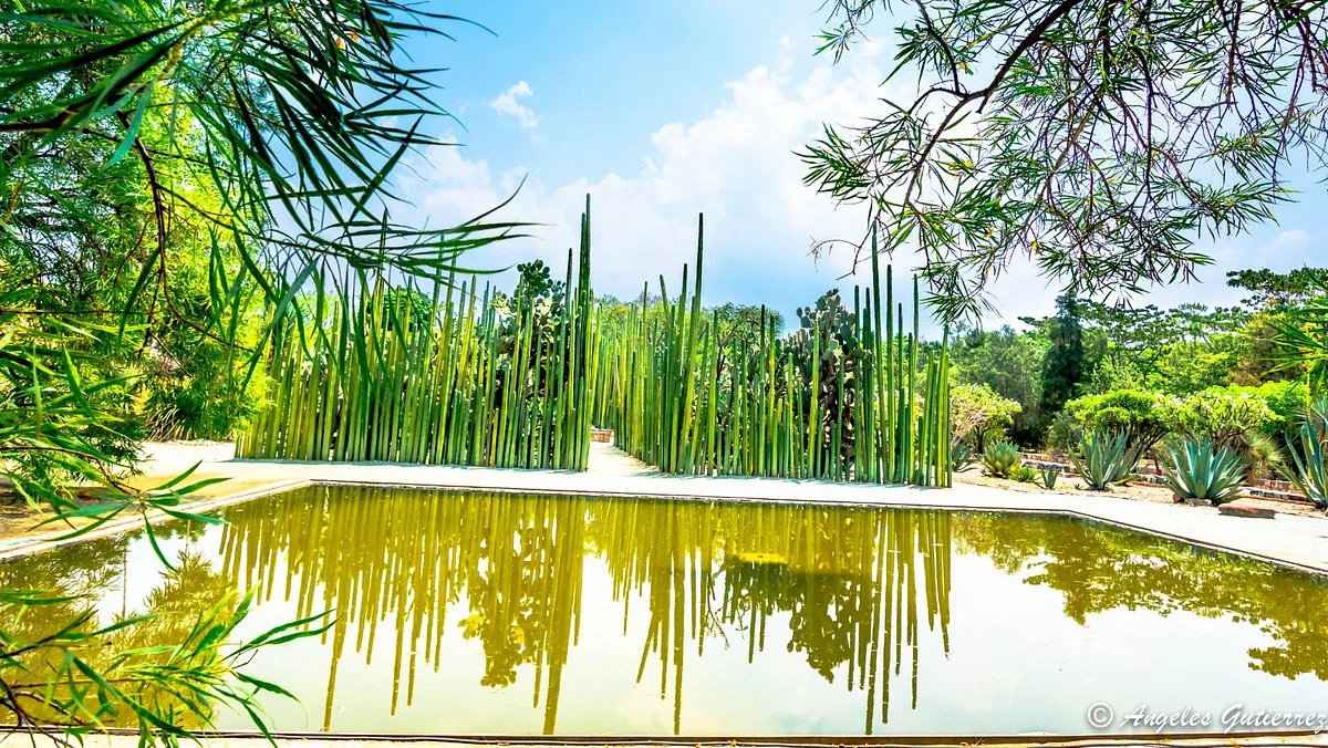 Jardin Etnobotanico de Oaxaca
