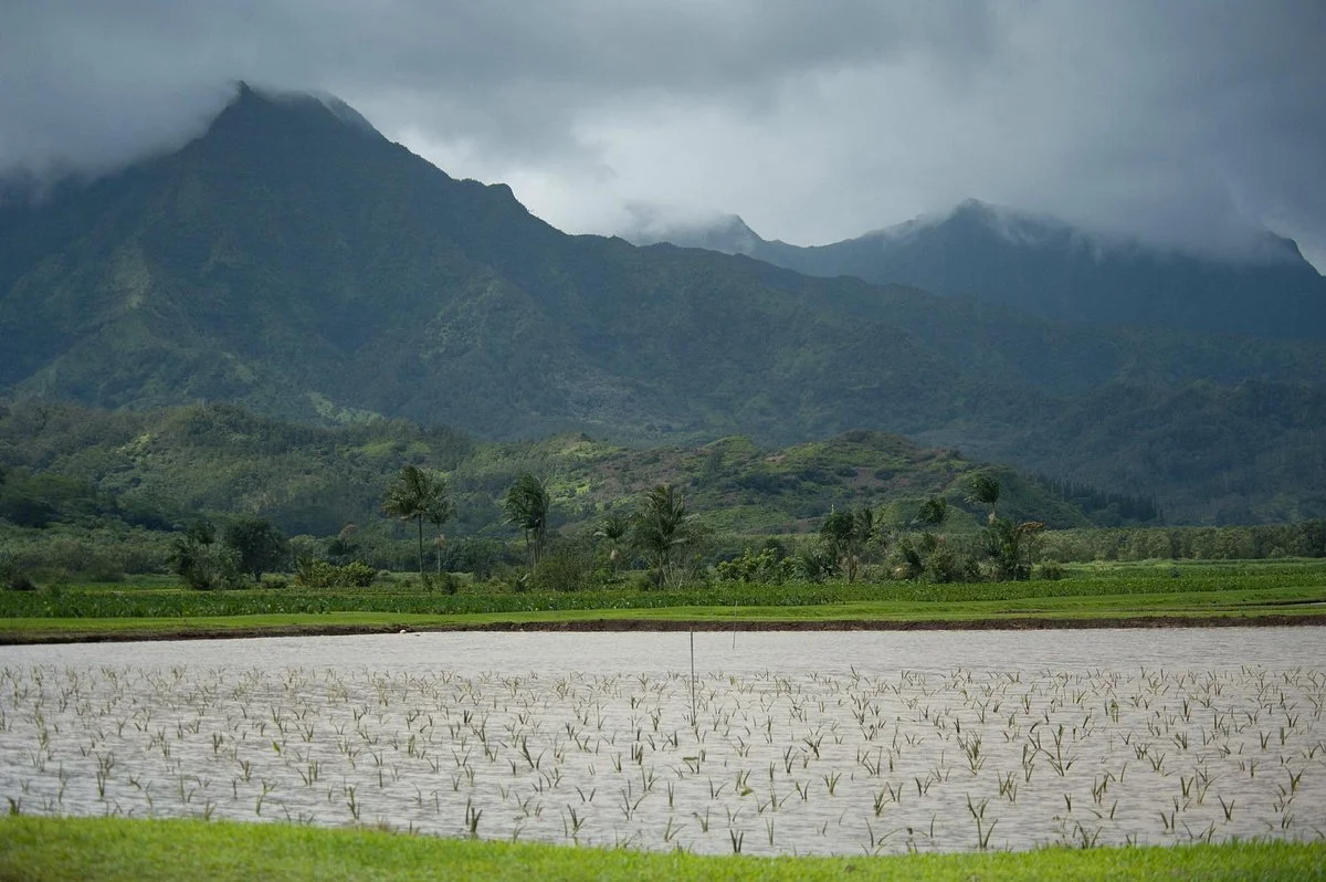 Huleia National Wildlife Refuge