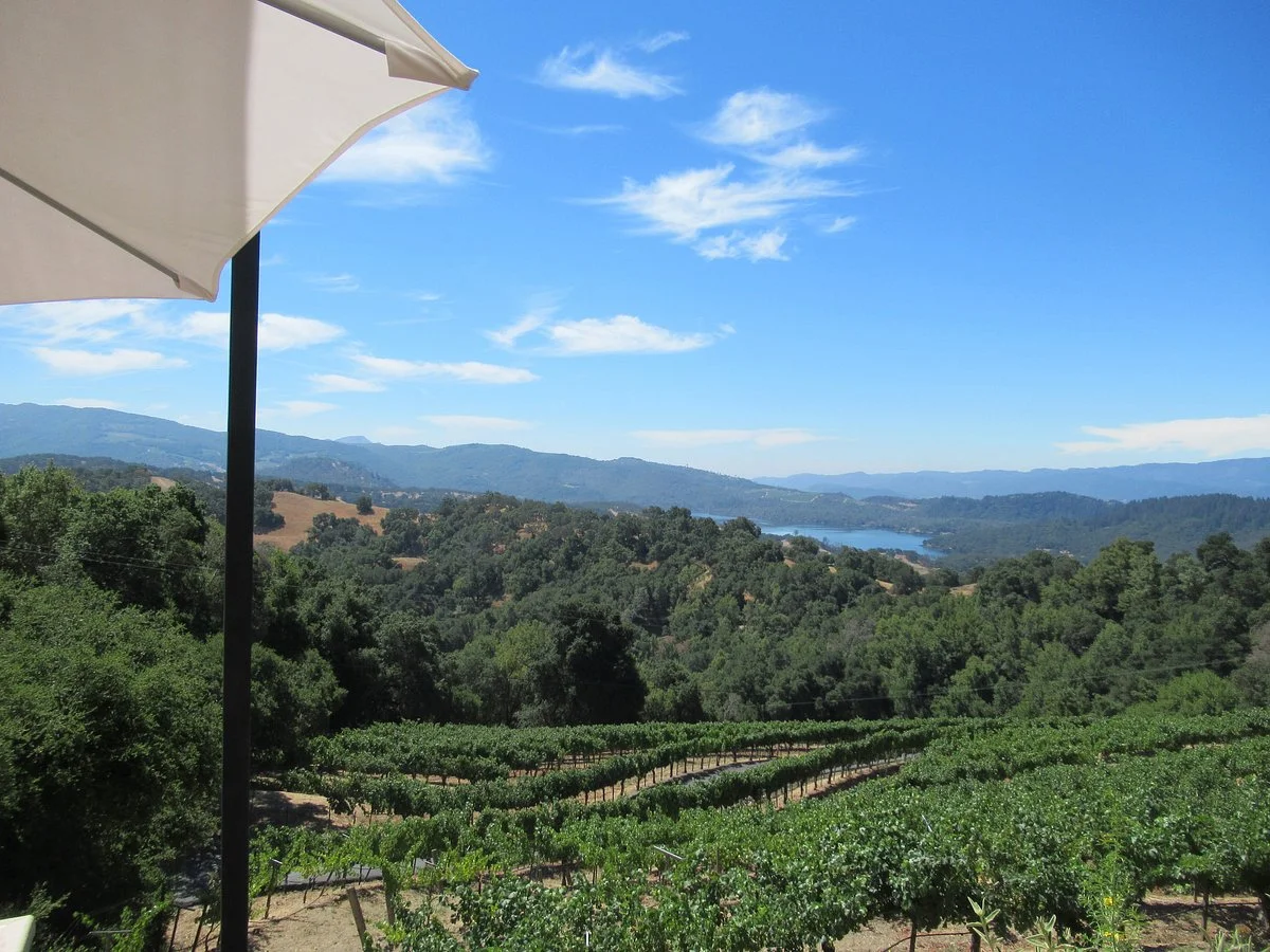 Amizetta Estate Winery