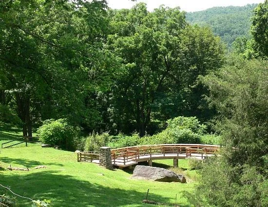 Judaculla Rock