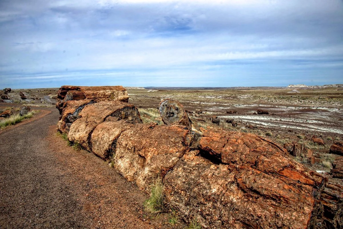 Crystal Forest Trail
