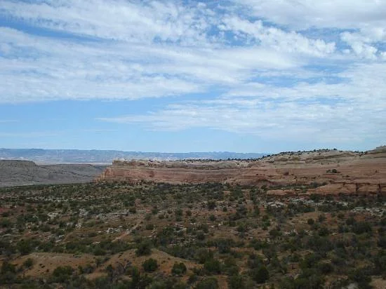 Rabbit Valley