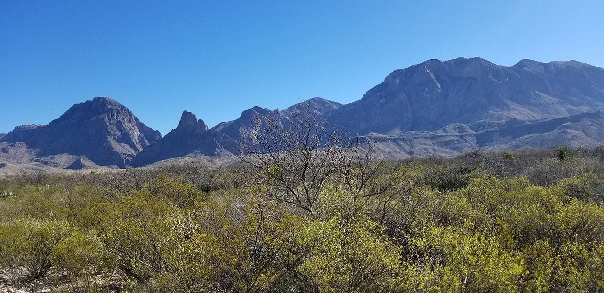 Ross Maxwell Scenic Drive