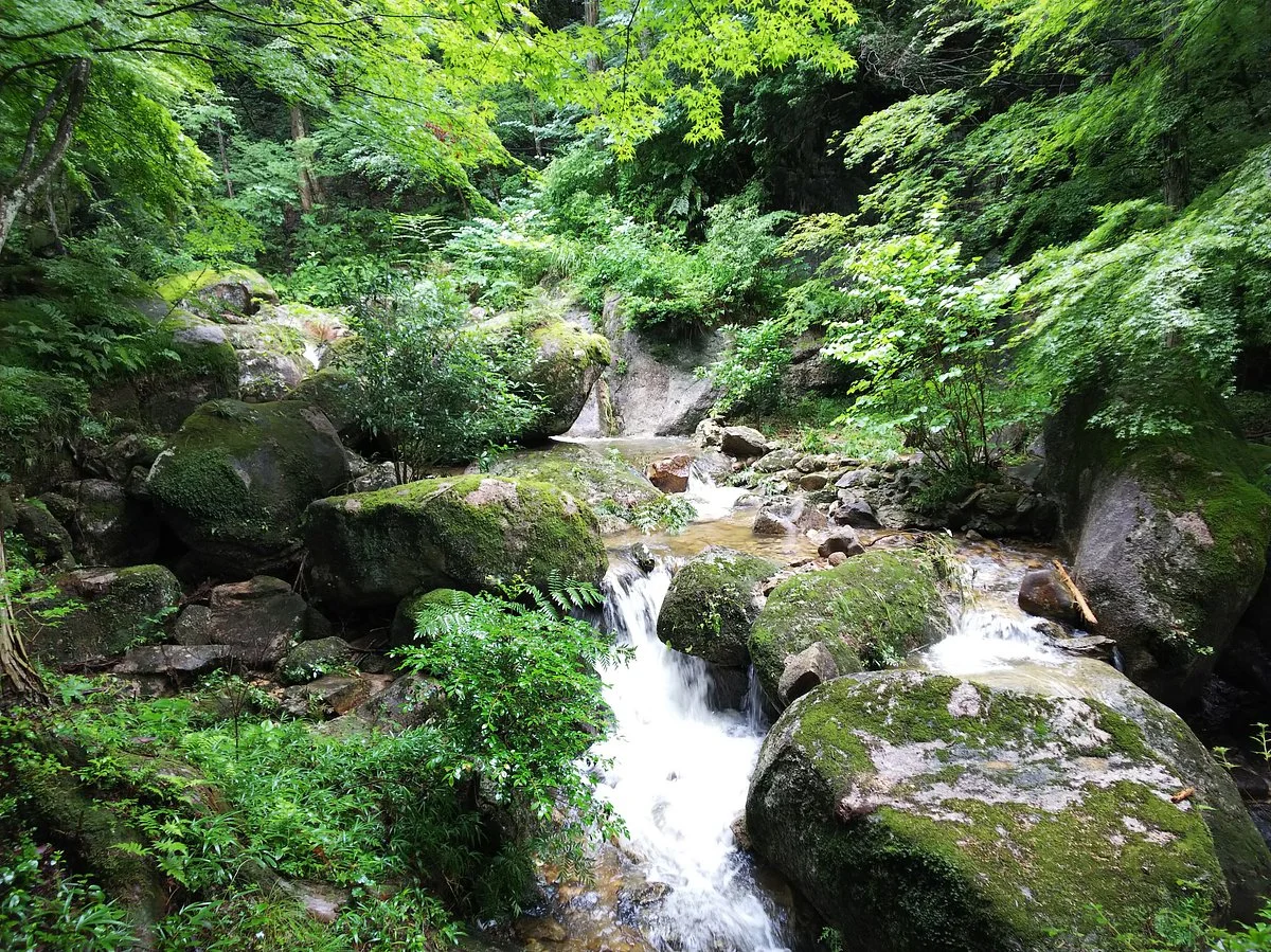 Oniiwa Park