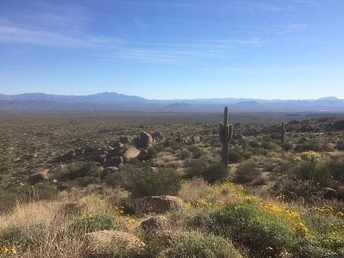 Marcus Landslide Trail