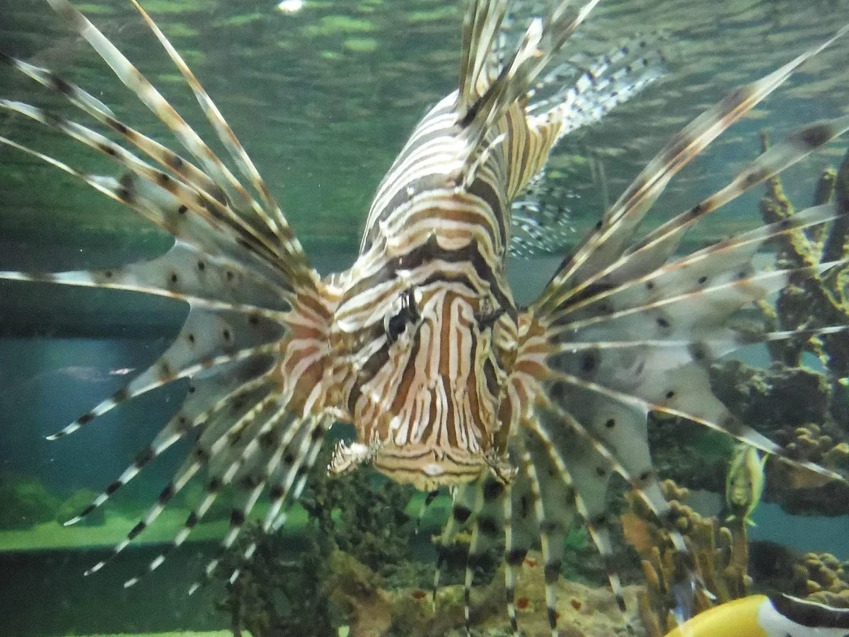 Seaport Aquarium
