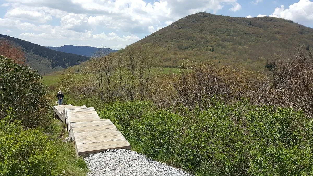 Sam knob summit