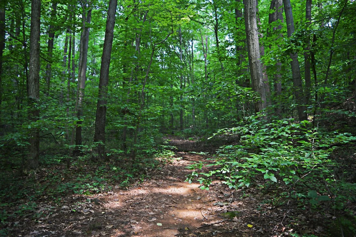Iron Hill Park