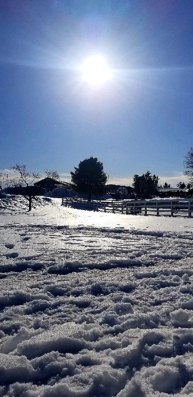 Smiling Hill Farm