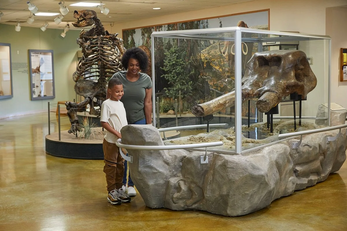 Big Bone Lick State Historic Site