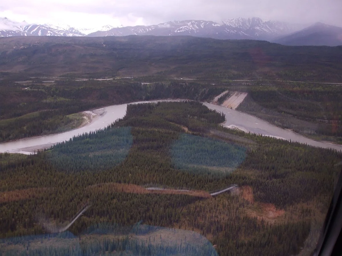 Nenana River