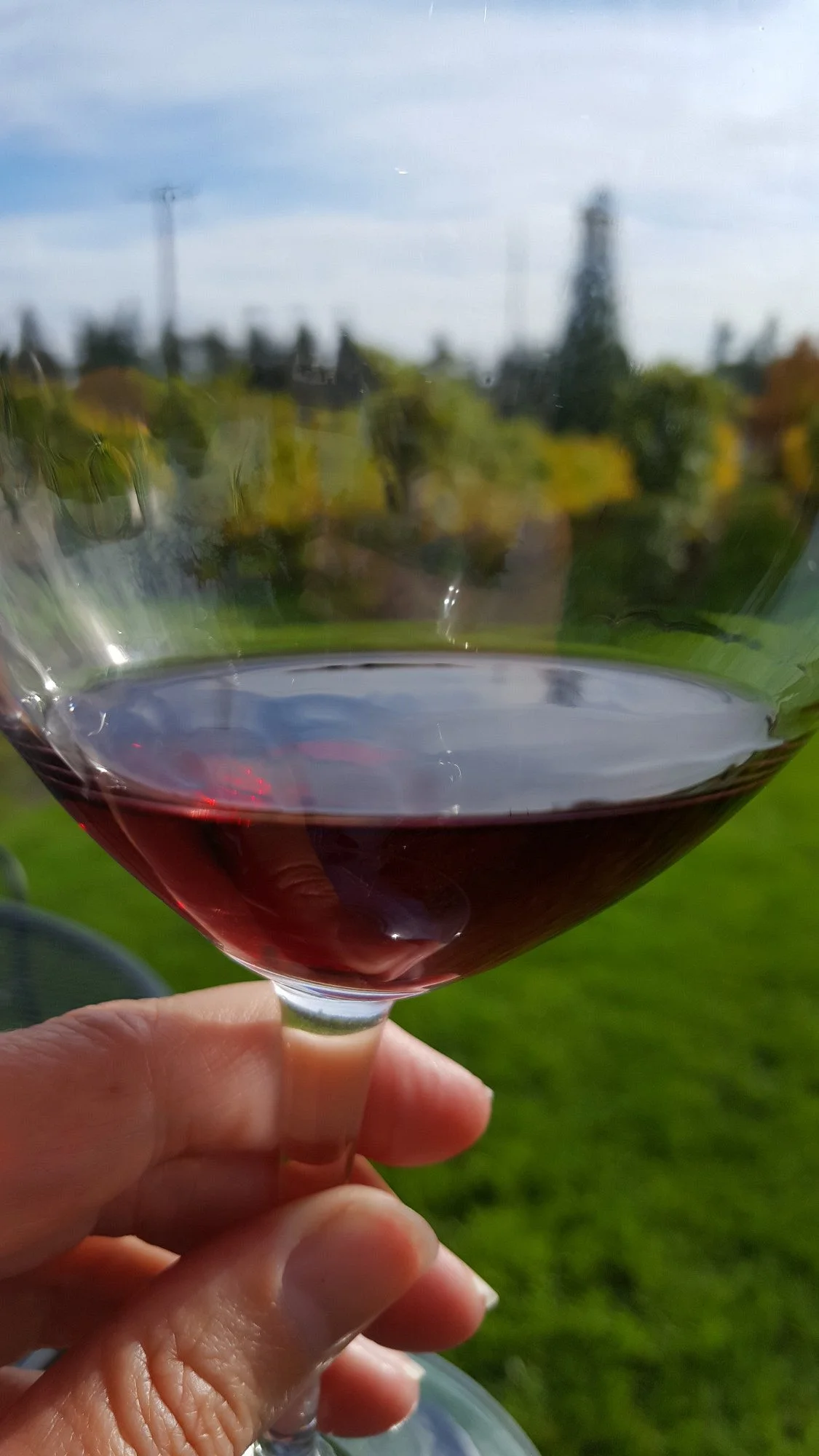 The Four Graces Winery