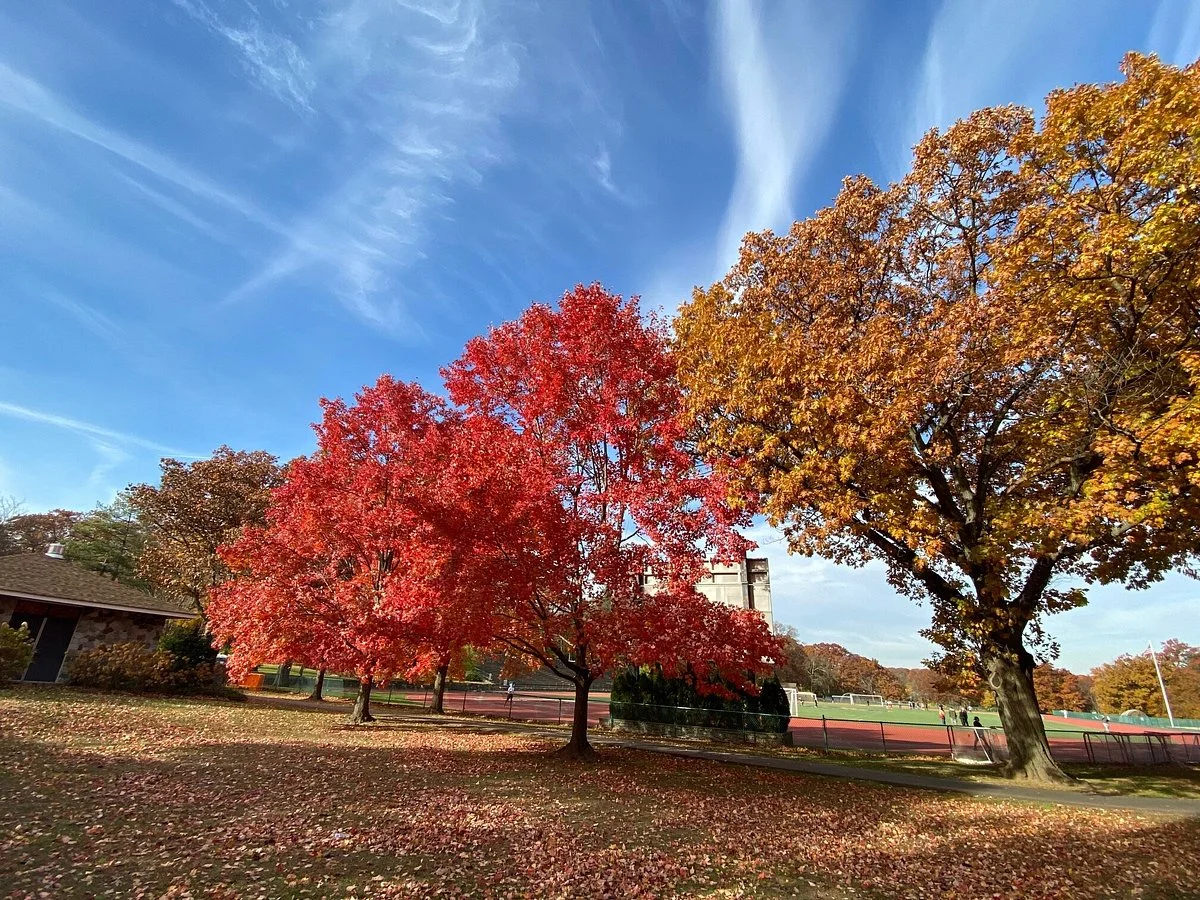 Brookdale Park