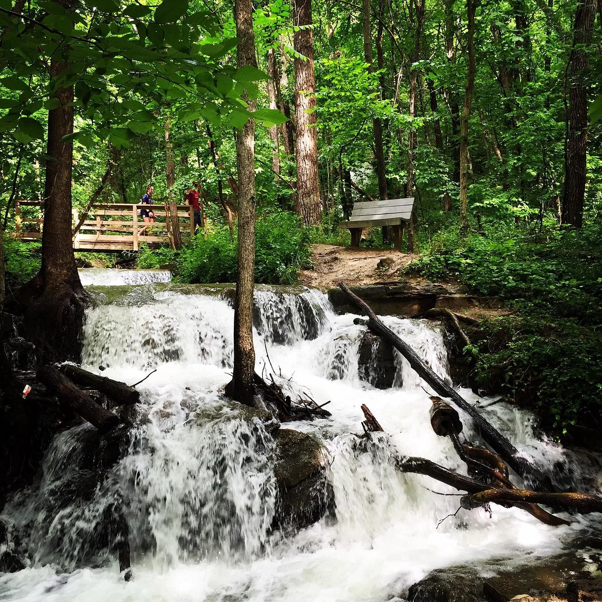 Parkville Nature Sanctuary