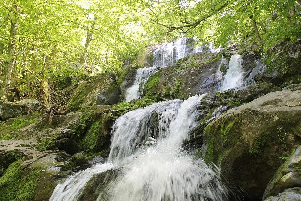 Rose River Falls
