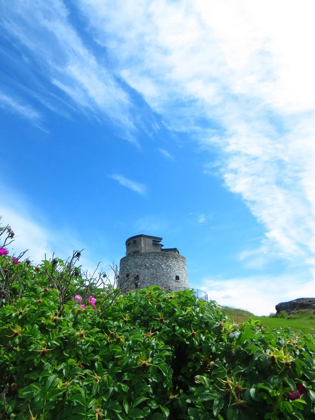 Carleton Martello Tower