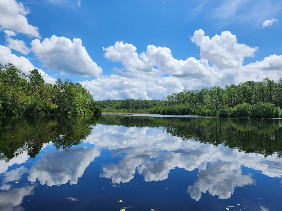 Blackwater River State Forest