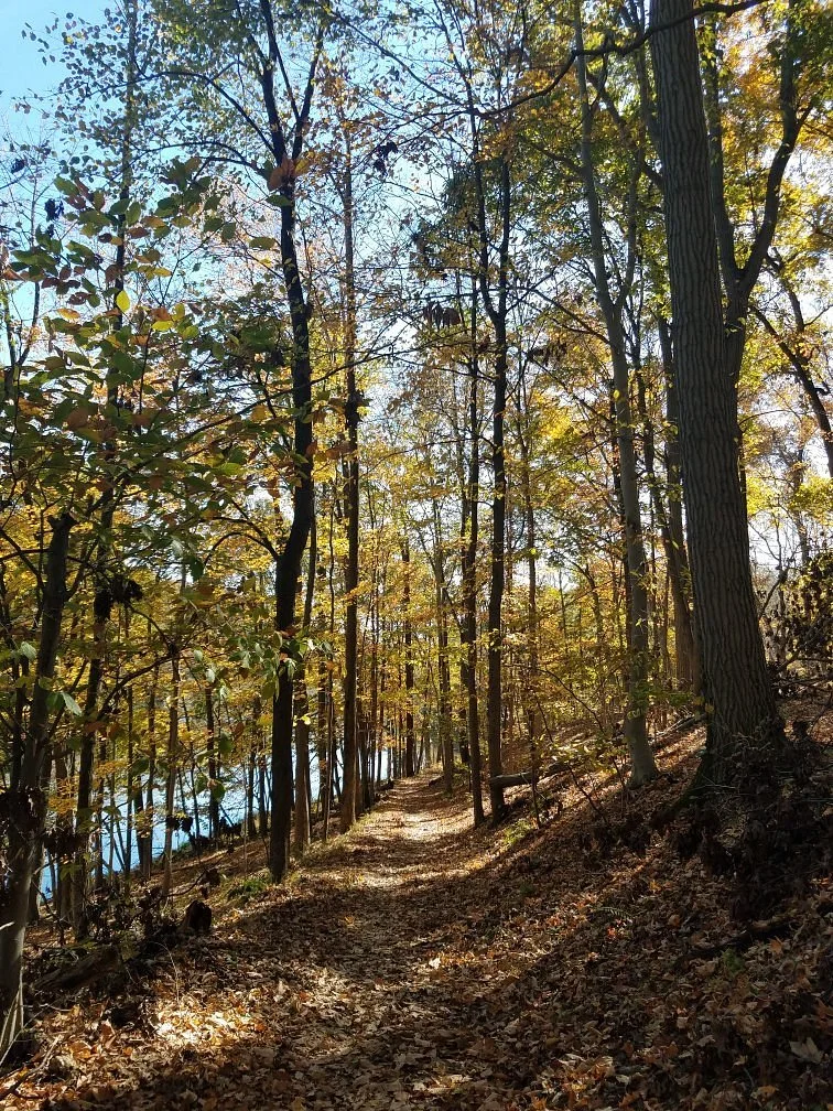 Washington Valley Park