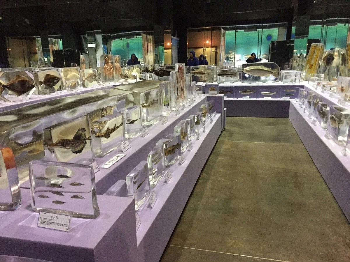 Okhotsk Sea Ice Museum of Hokkaido GIZA