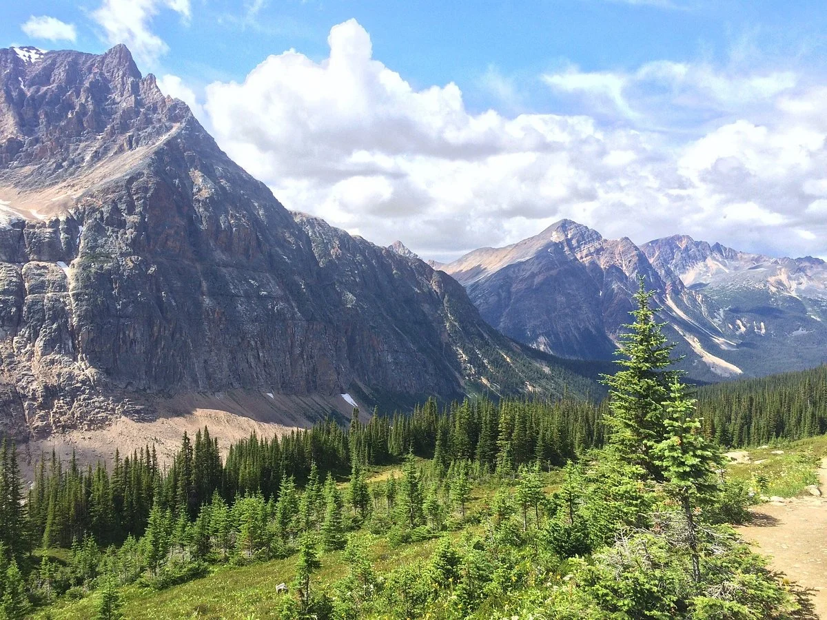 Cavell Meadows Trail