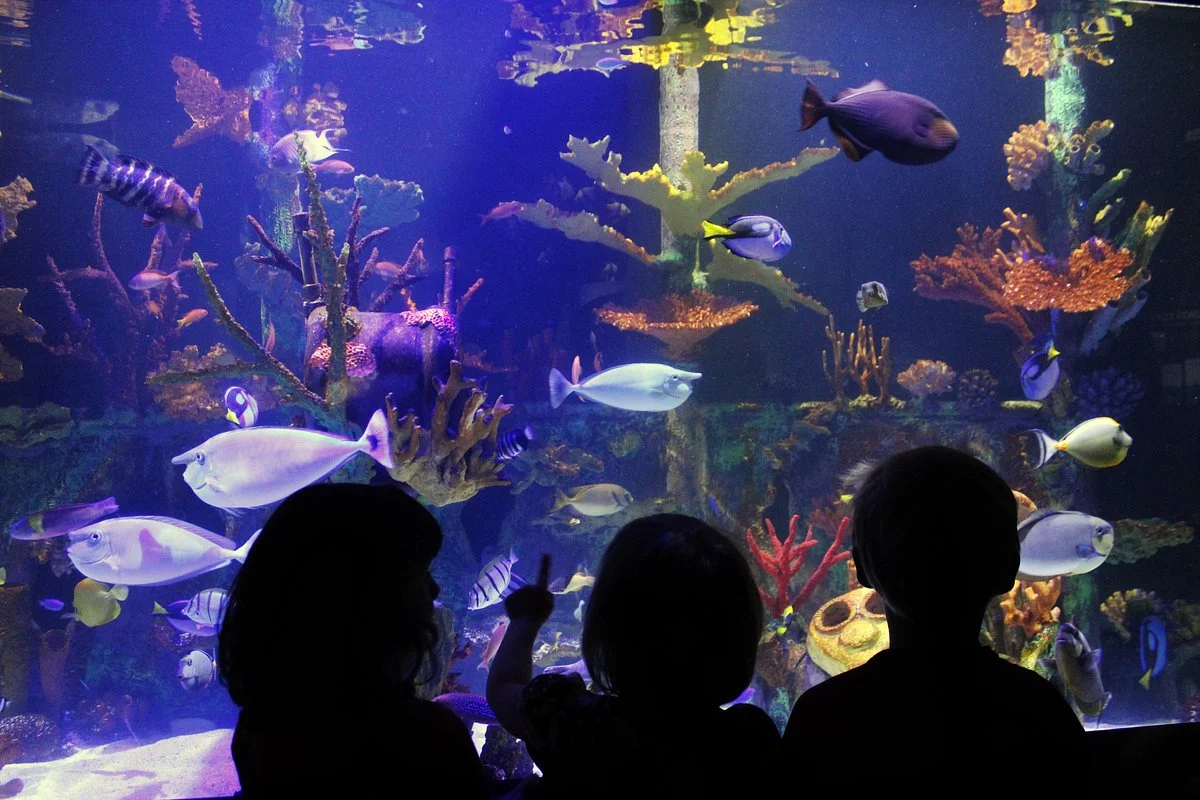 Great Lakes Aquarium
