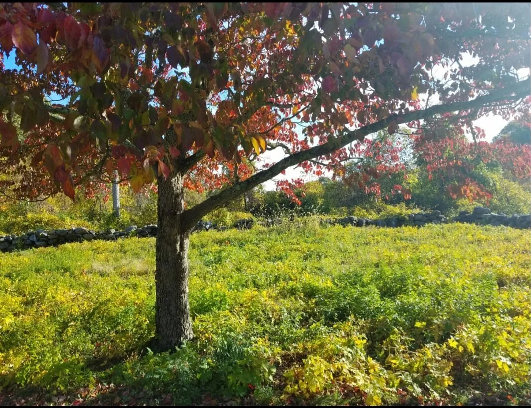 Stewart B. McKinney National Wildlife Refuge