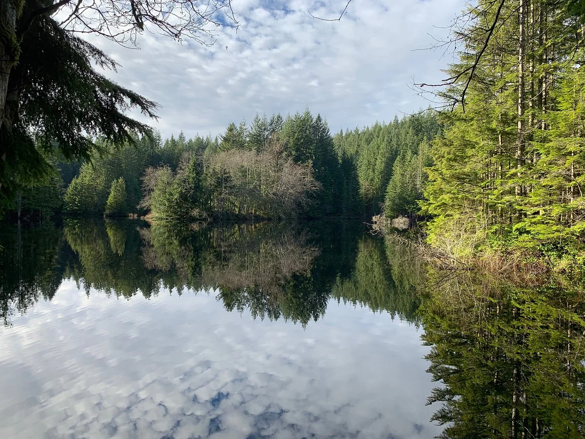 Lynn Headwaters Regional Park