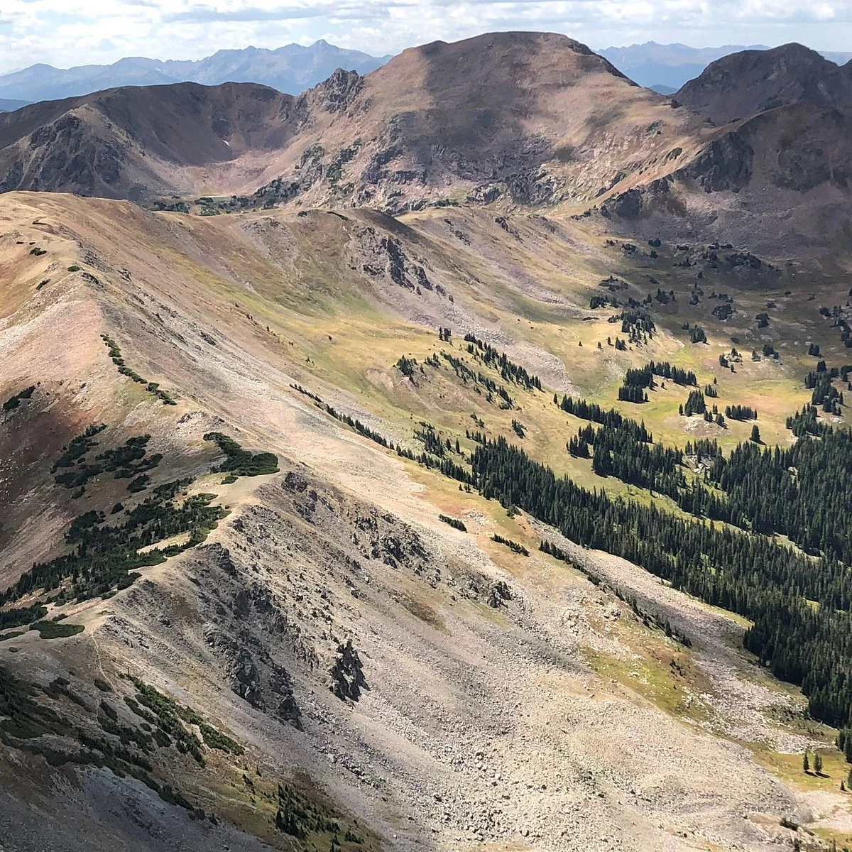 Buffalo Mountain Trail