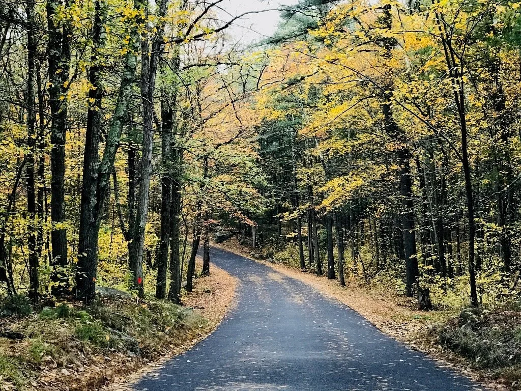 F. Gilbert Hills State forest