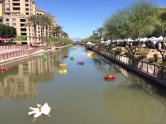 Arizona Canal
