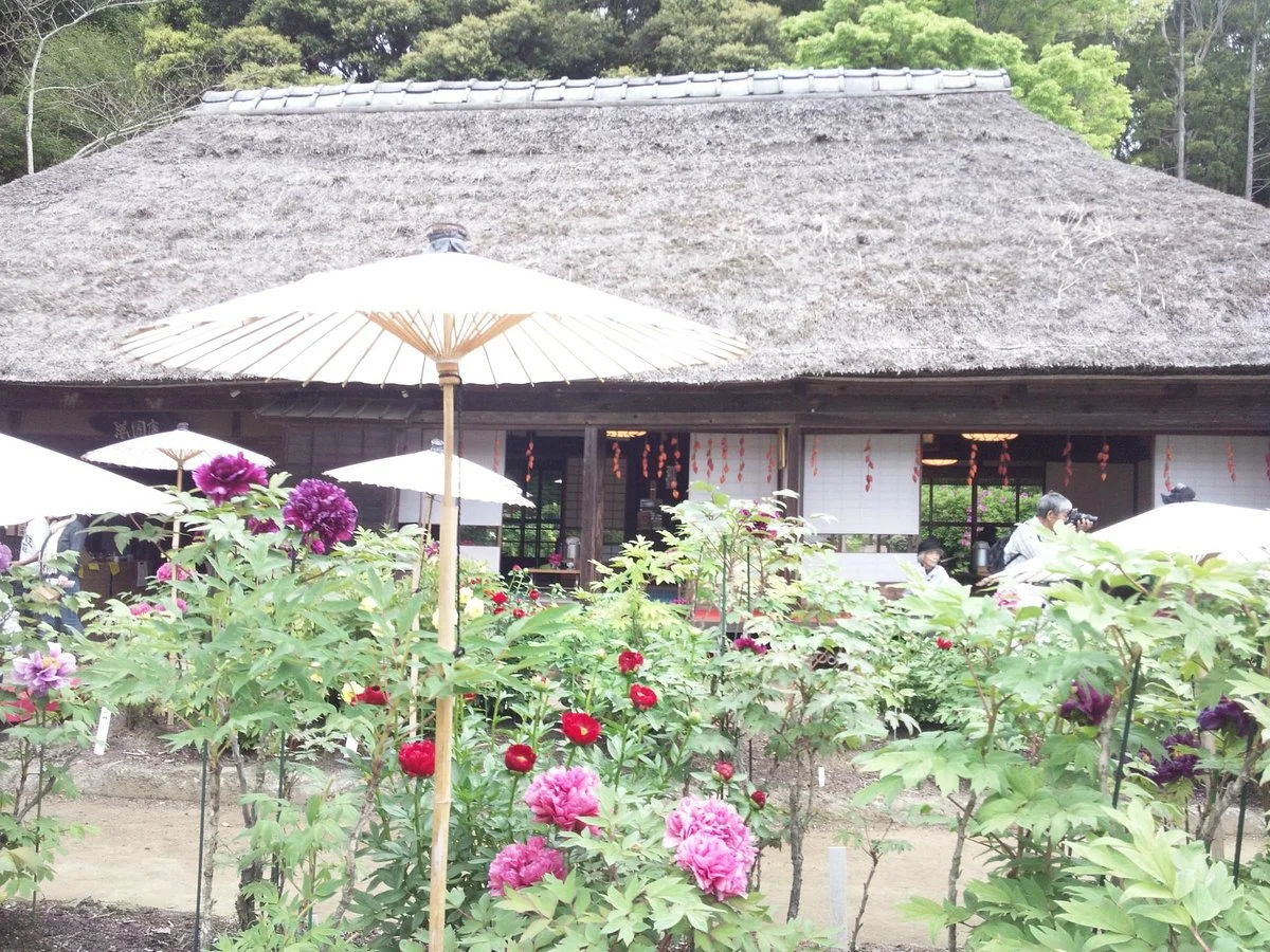 Mobara Peony Garden