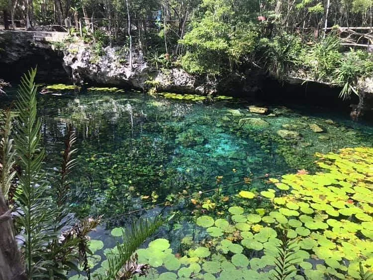Cenote Nicte-ha