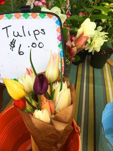 Queen Square Farmers Market
