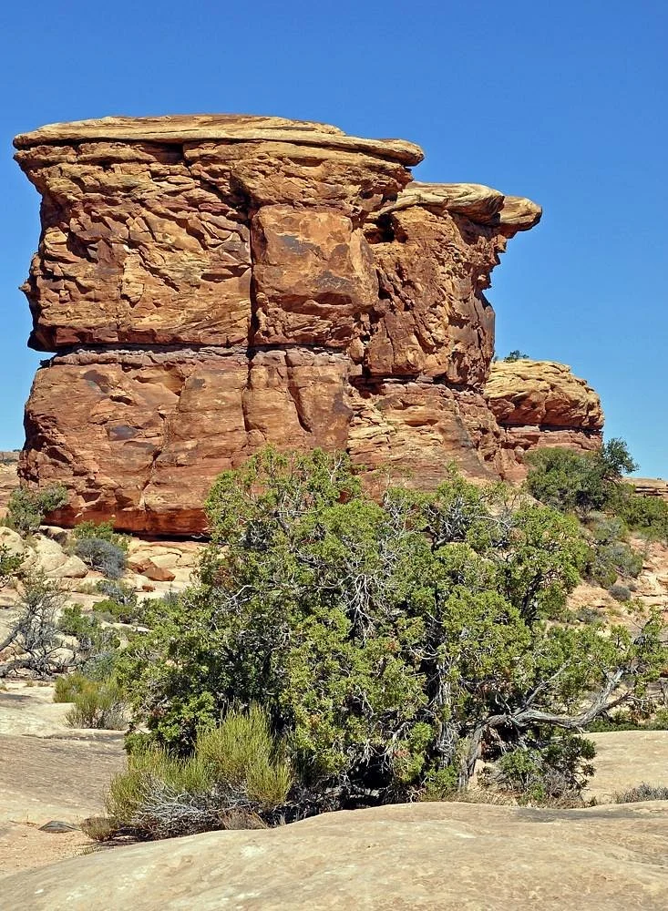 Newspaper Rock Recreation Site