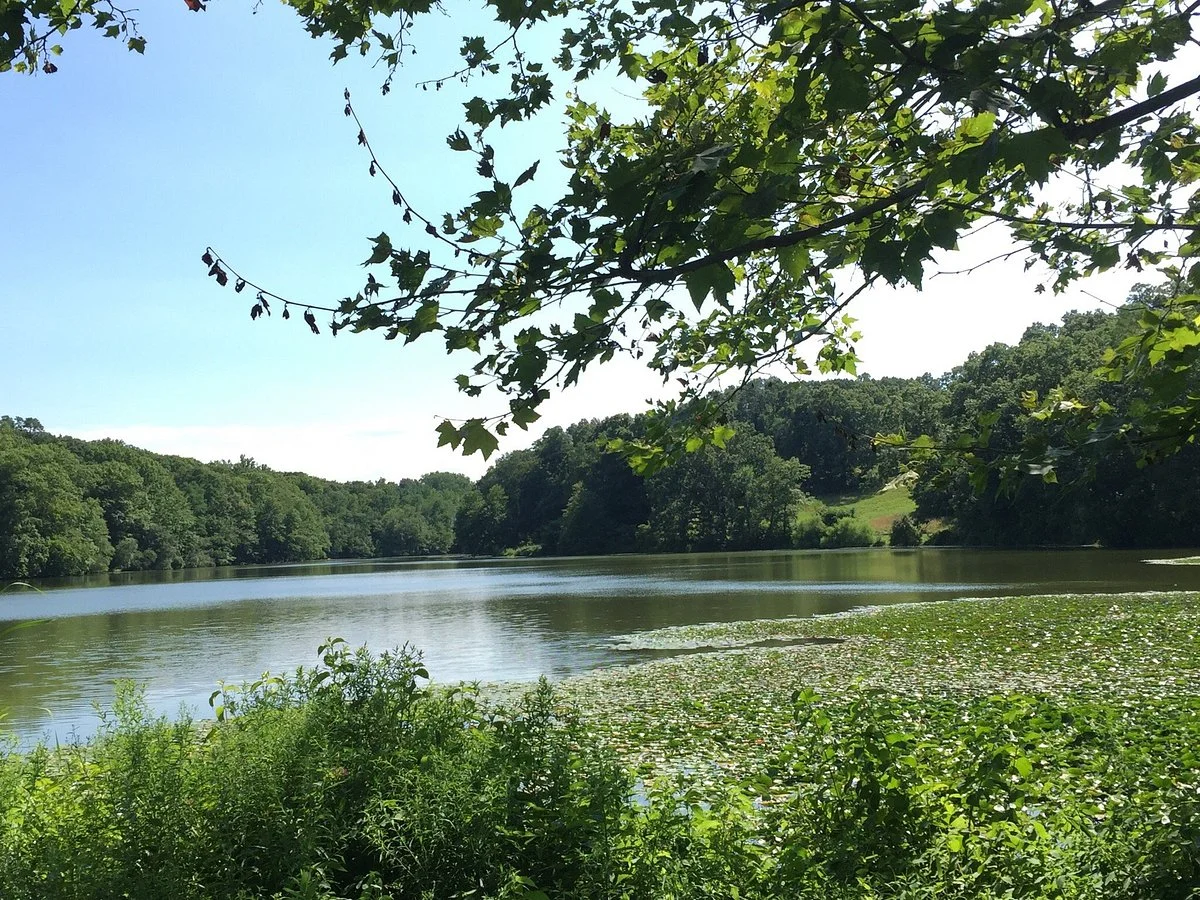 Rockefeller State Park Preserve