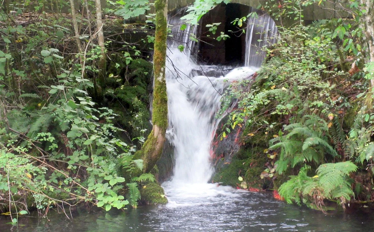 Sturgeon Viewing Pond and Interpretive Center