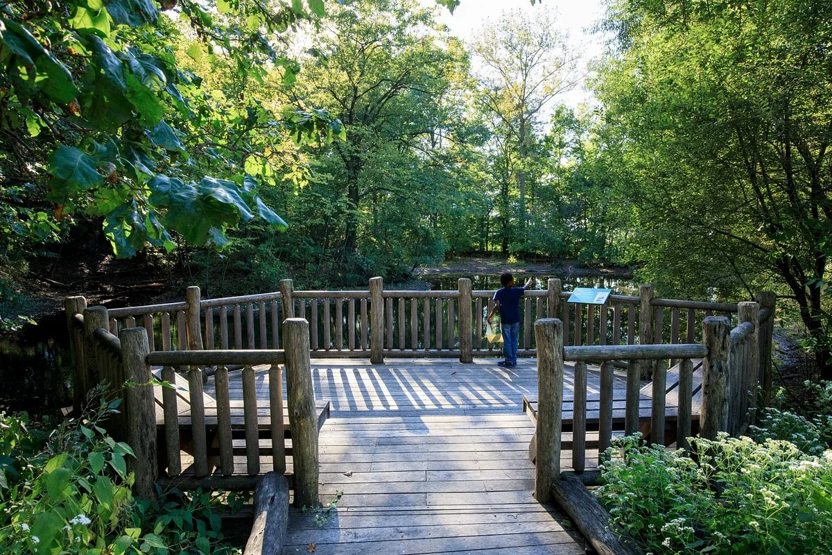 Flat Rock Brook Nature Center