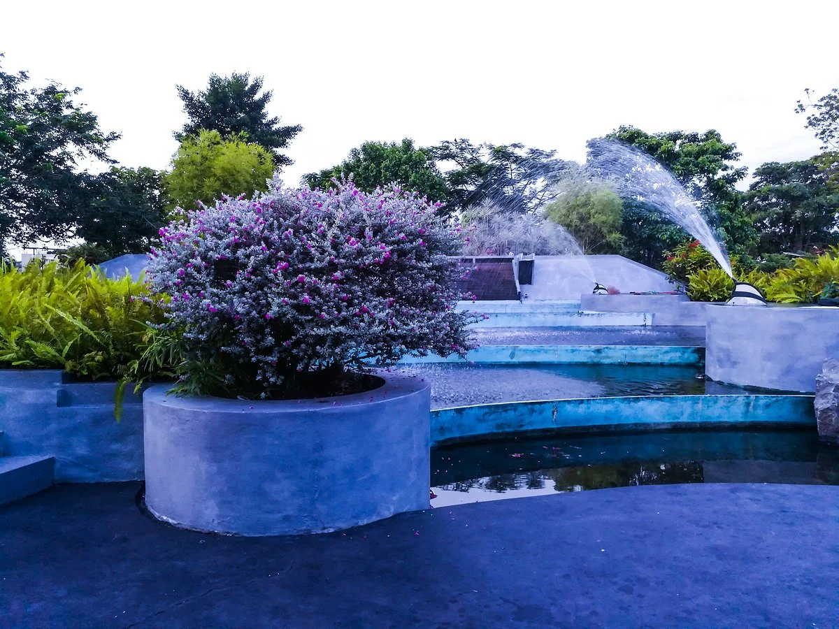 Urban Wetland Park